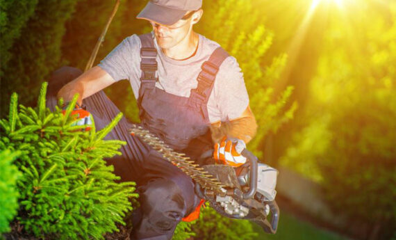 professional-garden-worker-gardener-work-hedge-trimmer-his-hand-67166004